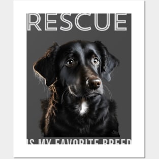 Rescue is my favorite breed Posters and Art